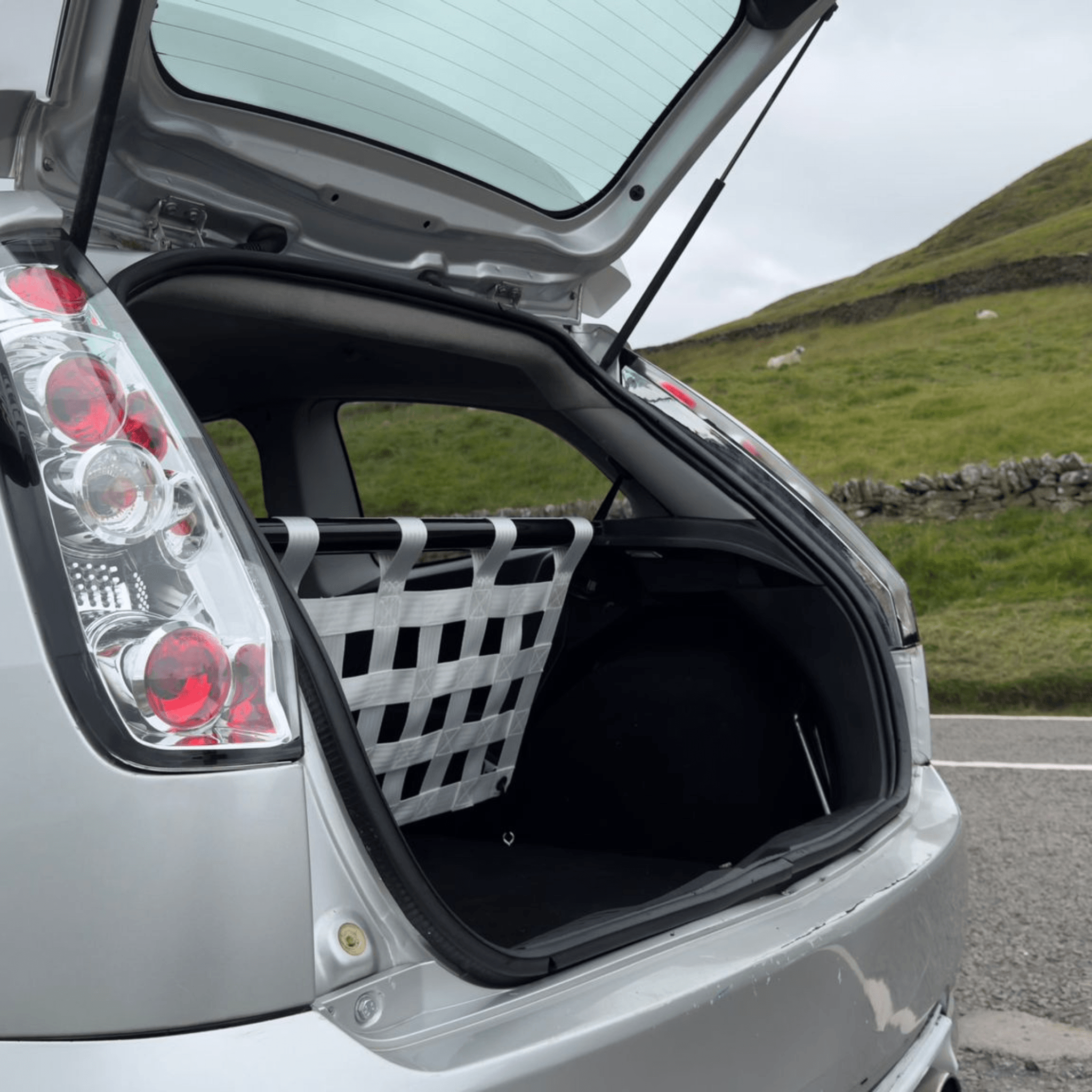 Ford Fiesta Mk6 ST150 Strut bar and Cargo net cargo-nets.co.uk