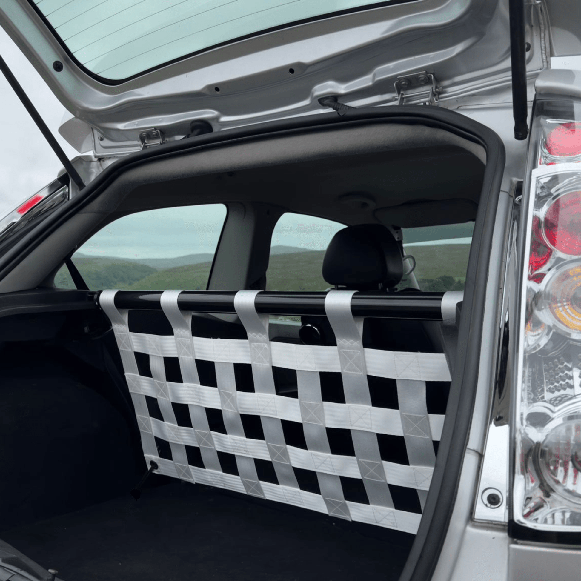 Ford Fiesta Mk6 ST150 Strut bar and Cargo net cargo-nets.co.uk