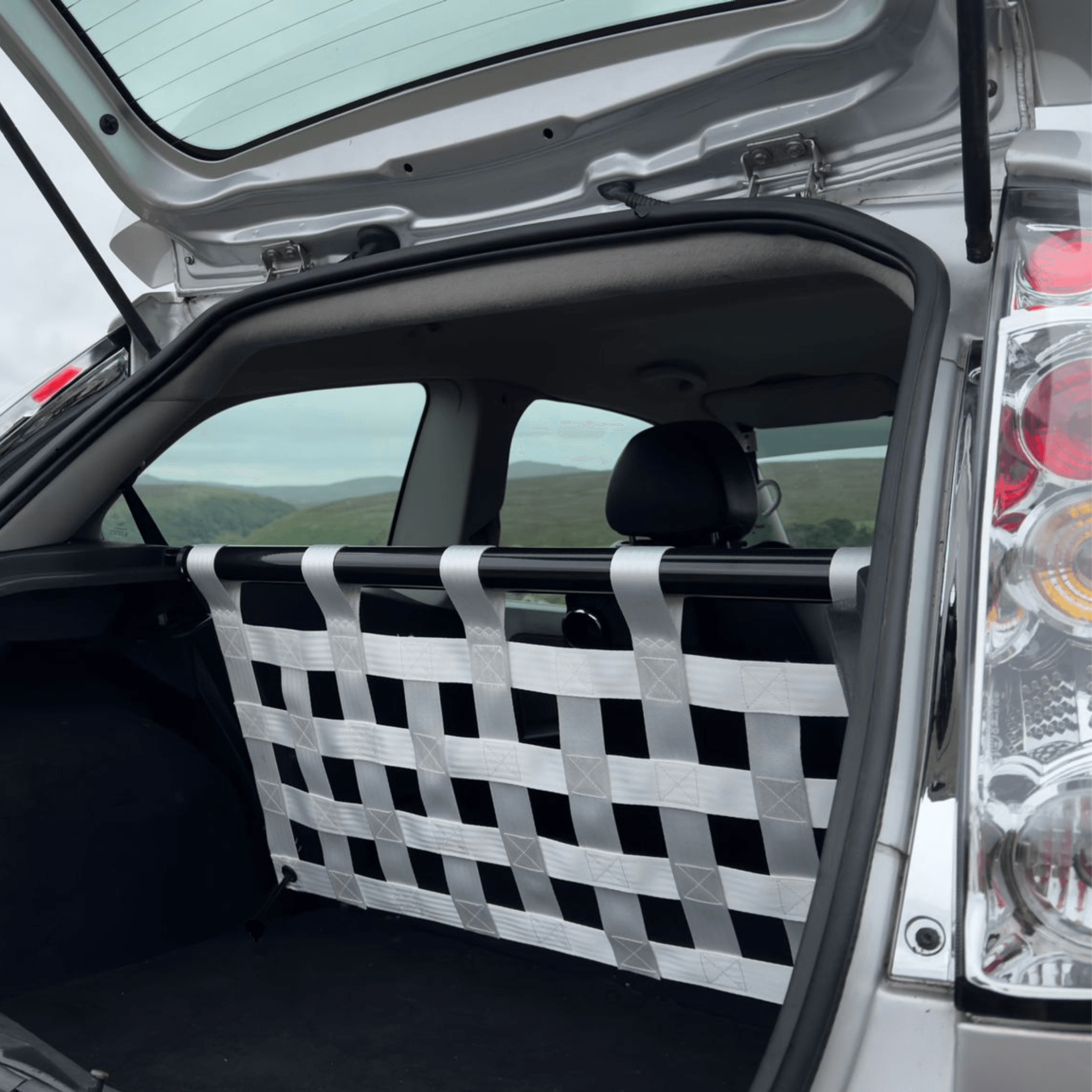 Ford Fiesta Mk6 ST150 Strut bar and Cargo net cargo-nets.co.uk
