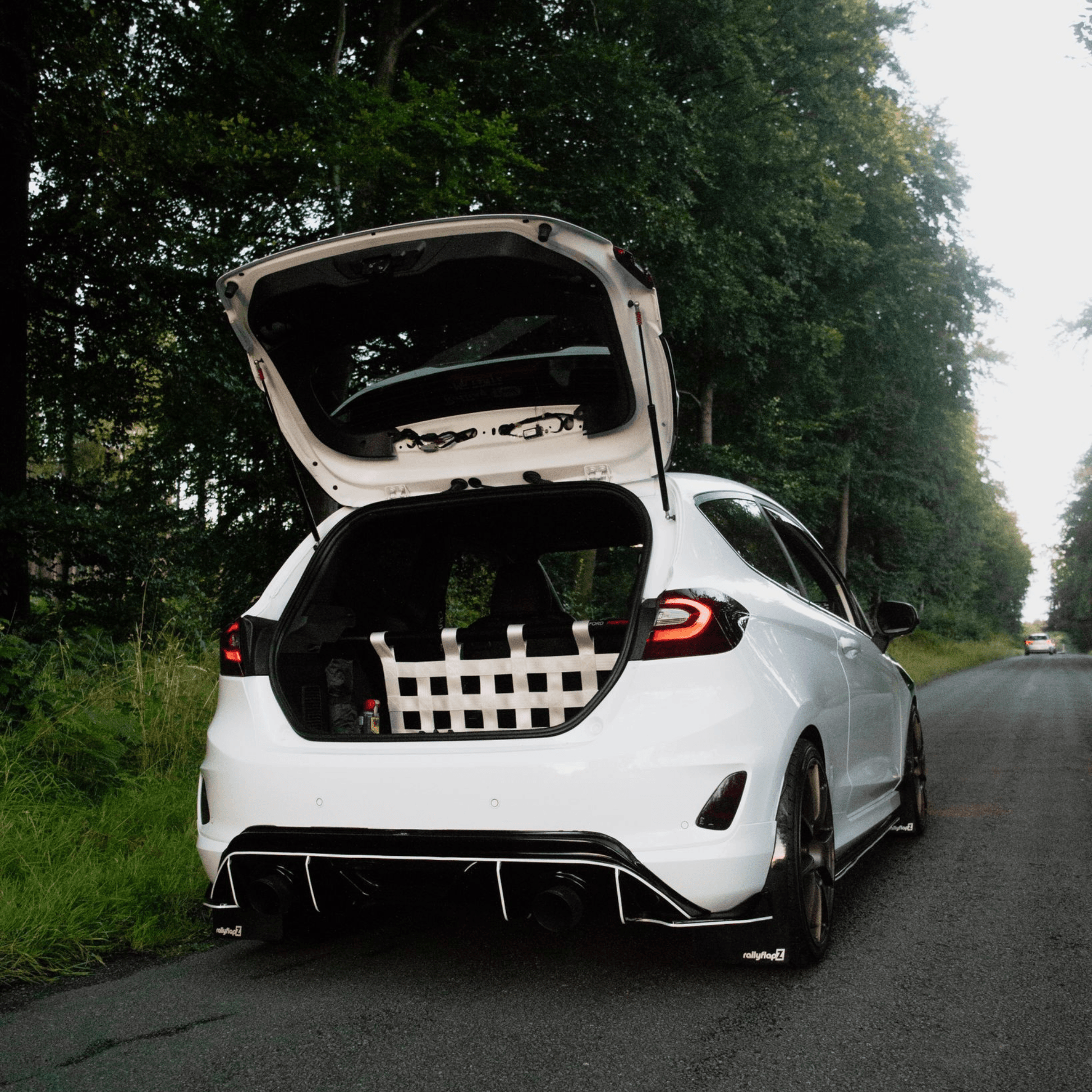 Ford Fiesta Mk8 ST Strut bar and Cargo net cargo-nets.co.uk