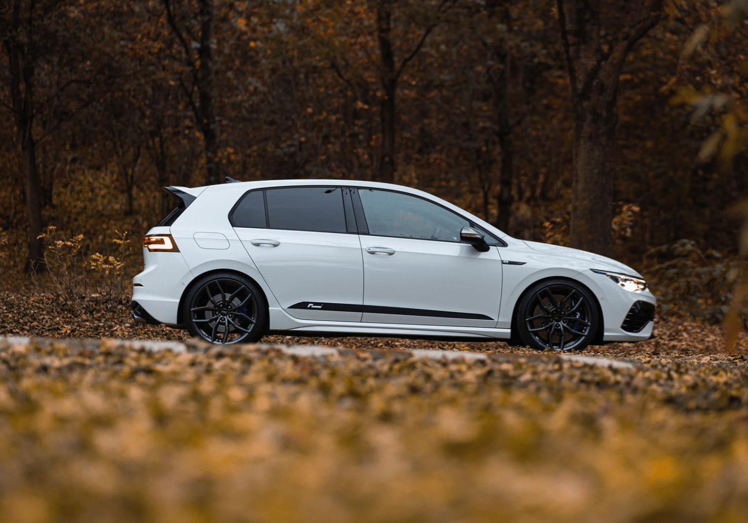 Racingline Sport Lowering Springs VW Golf Mk8 R (Hatch) - VWR31G80R