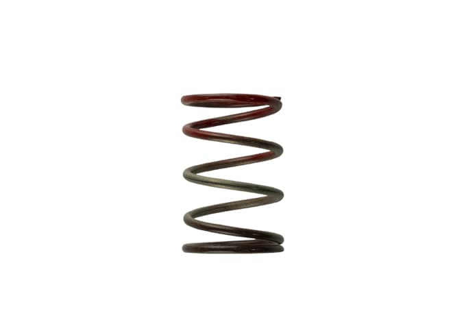Turbosmart Gen4 / IWG WG38/40/45/50L 11PSI MIDDLE SPRING - BROWN/RED - TS-0505-2004