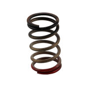 Turbosmart GenV WG HP 40psi Spring (Black/Red) - TS-0550-3112