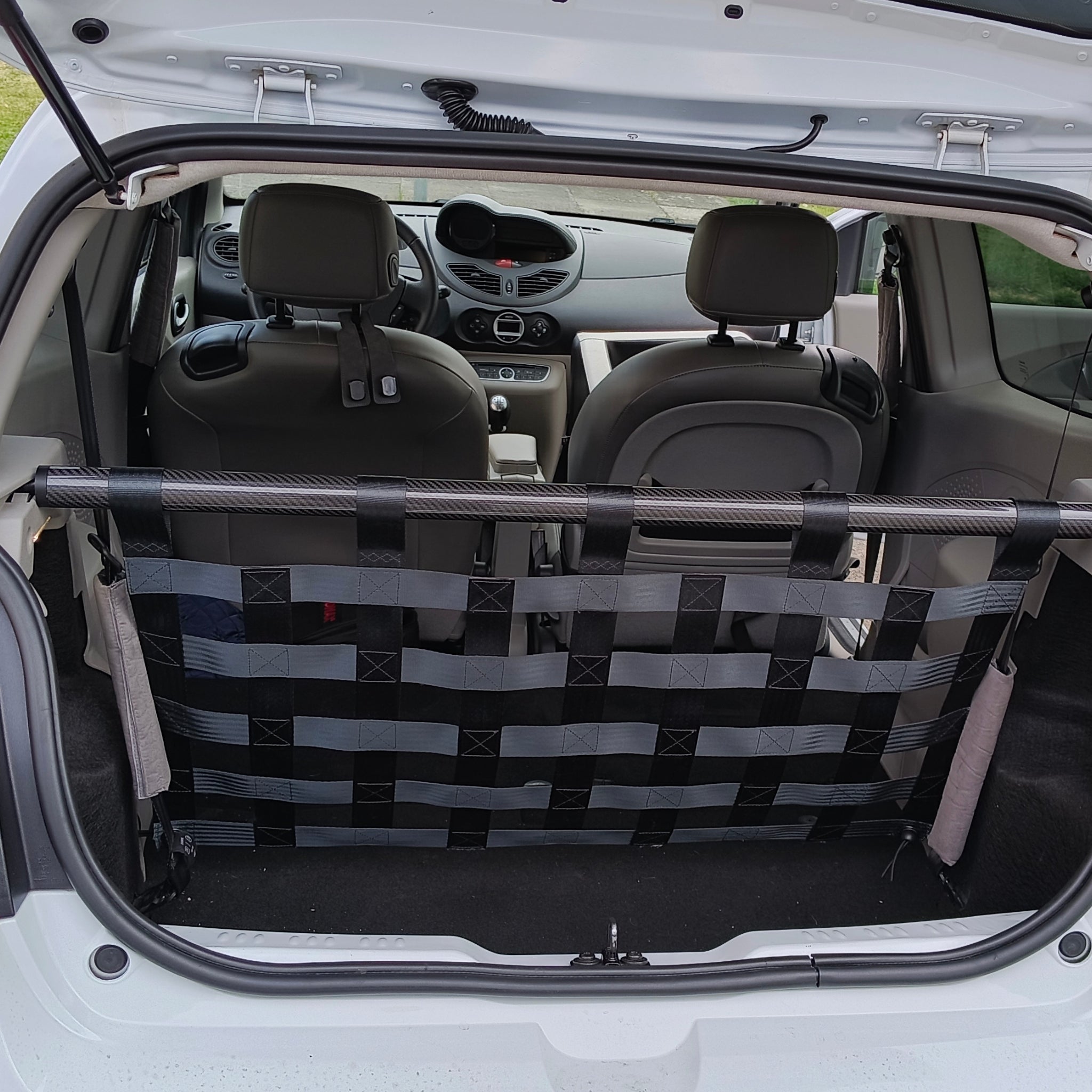 Renault Twingo RS Mk2 Strut Bar and Cargo Net cargo-nets.co.uk