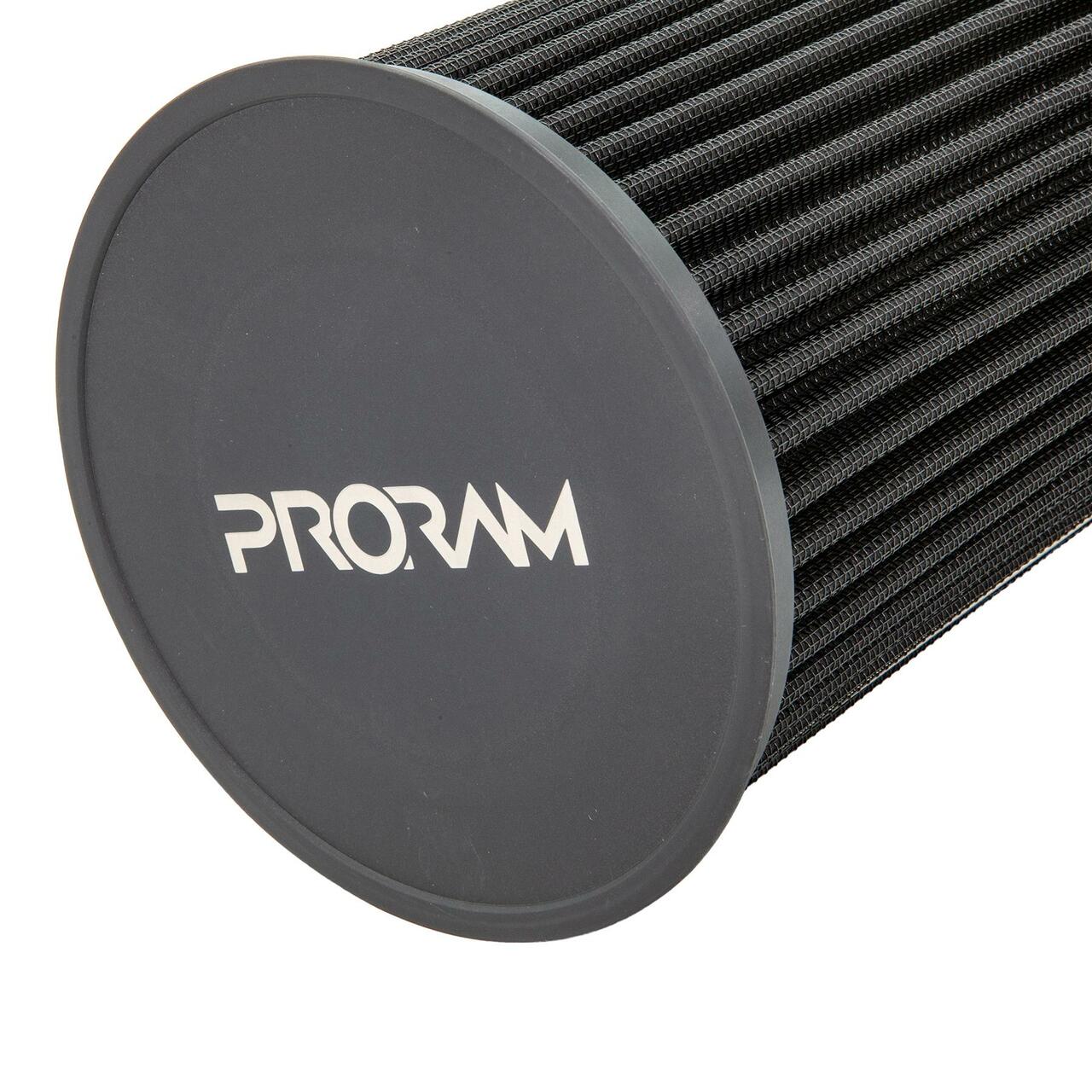 Ramair PRORAM Ford Replacement Pleated Air Filter - PPF1869